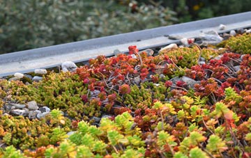 the cost of Pen Uchar Plwyf green roof installation