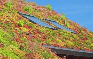 Pen Uchar Plwyf living roof systems